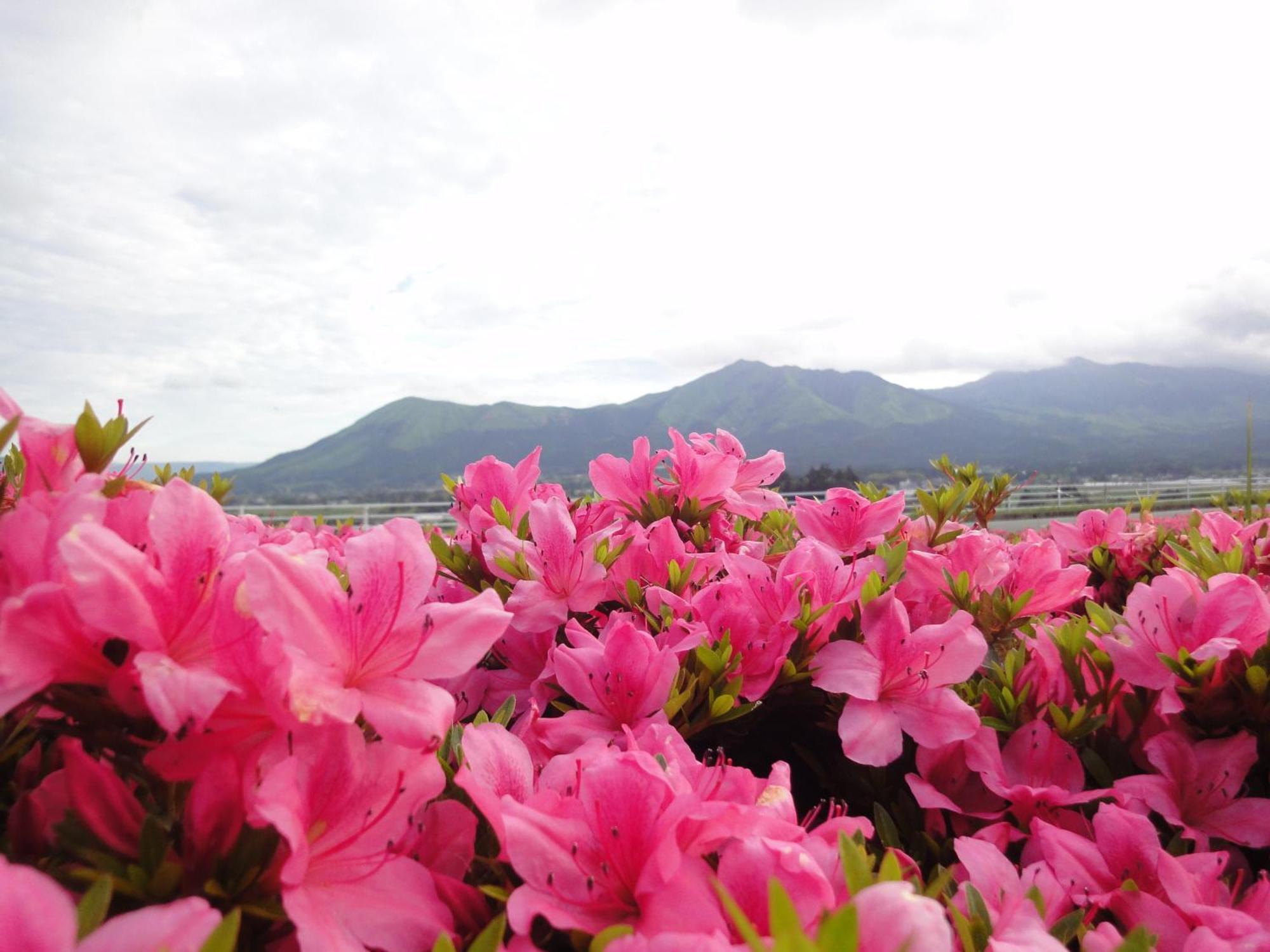 Hotel Shikino Mori Aso Exterior foto