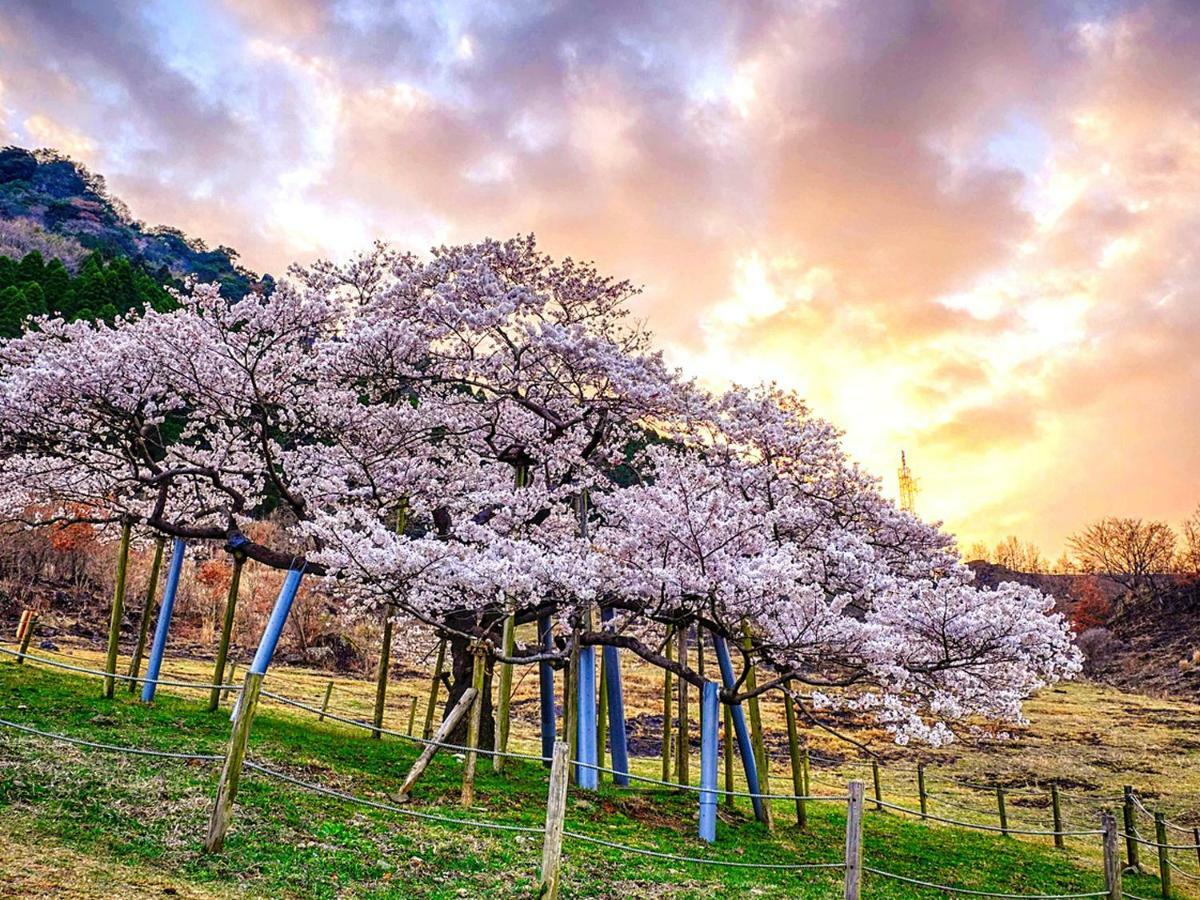 Hotel Shikino Mori Aso Exterior foto